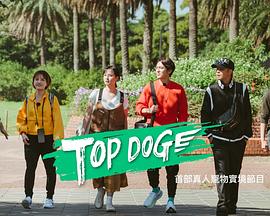 蘑菇影音app《TOP DOG》免费在线观看