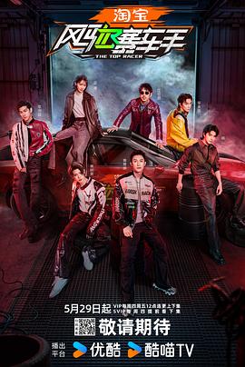 蘑菇视频《风驰赛车手》免费在线观看