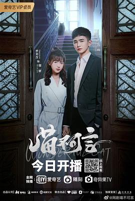 蘑菇视频《喵不可言》免费在线观看