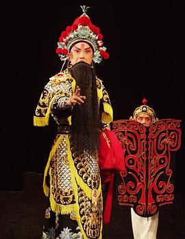 蘑菇视频《袁崇焕2009》免费在线观看